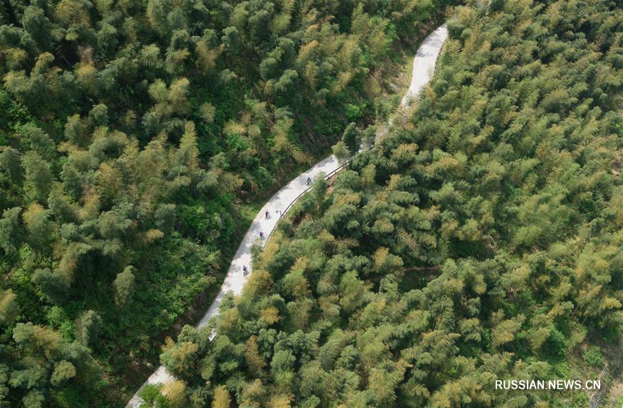 Проект "Тысяча образцовых деревень, десять тысяч обустроенных деревень" в провинции Чжэцзян