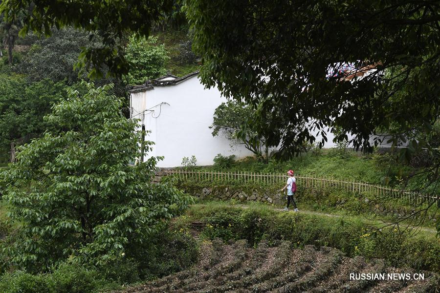 Проект "Тысяча образцовых деревень, десять тысяч обустроенных деревень" в провинции Чжэцзян