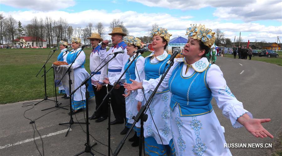 Реконструкция битвы времен Северной войны в белорусской деревне