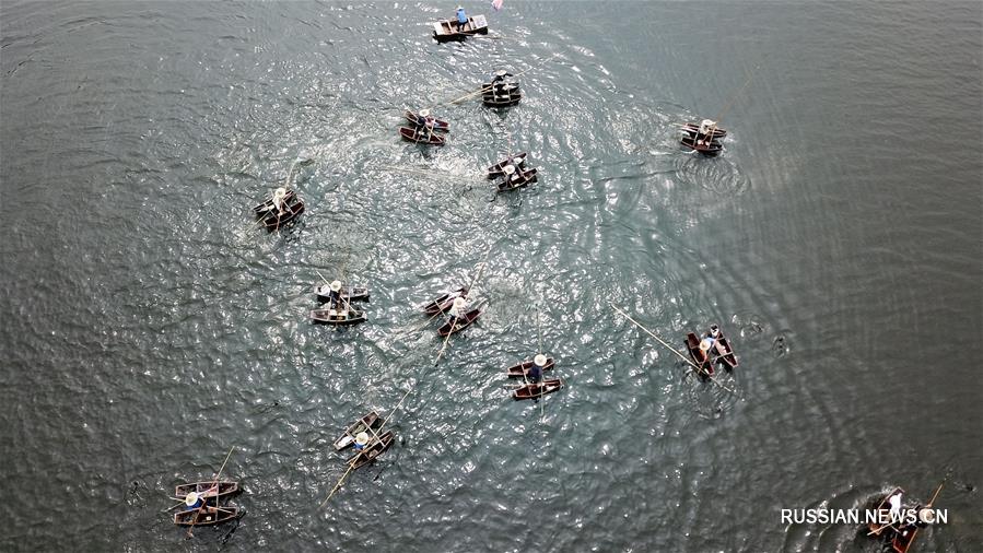 Фольклорно-культурный фестиваль рыбной ловли с бакланами в поселке Куайгоу