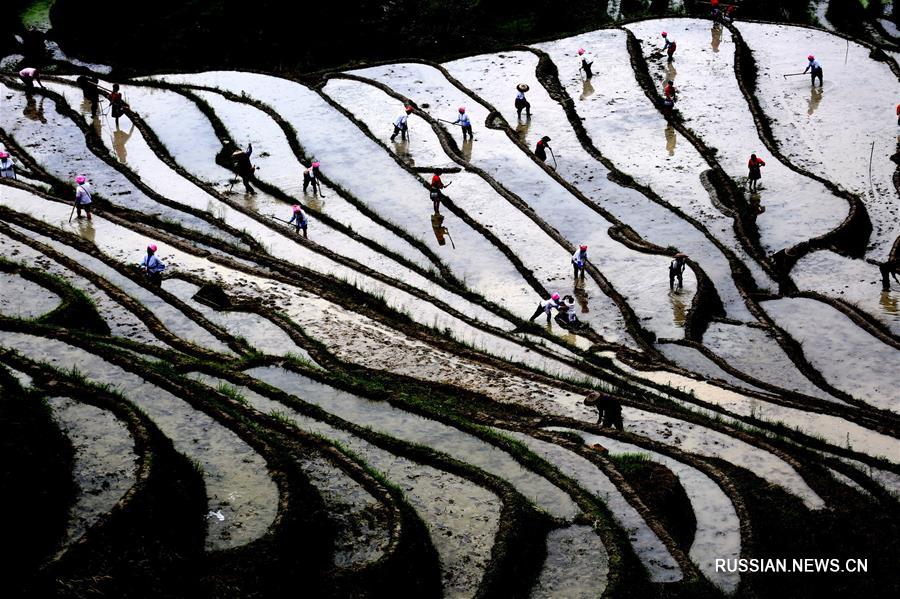 Начало пахотно-посевных работ на лунцзийских террасных полях