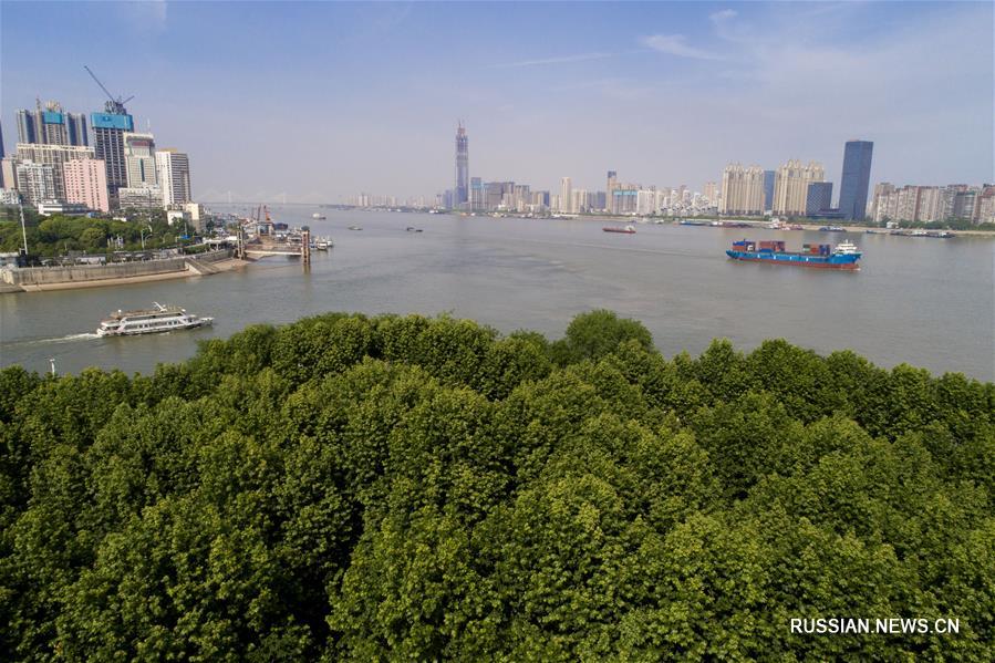 Зеленая ландшафтная зона на берегах Янцзы и Ханьцзяна в Ухане