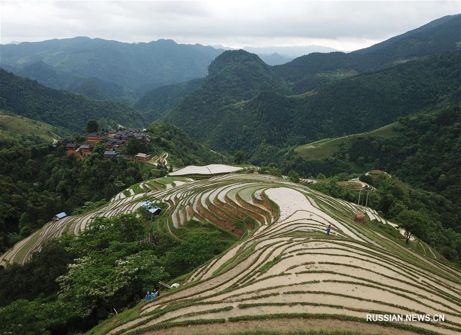 Майские виды террасных полей в мяоской деревне уезда Жунцзян