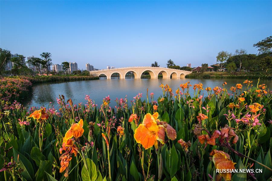Реализация стратегии "Экология плюс" в Чжанчжоу