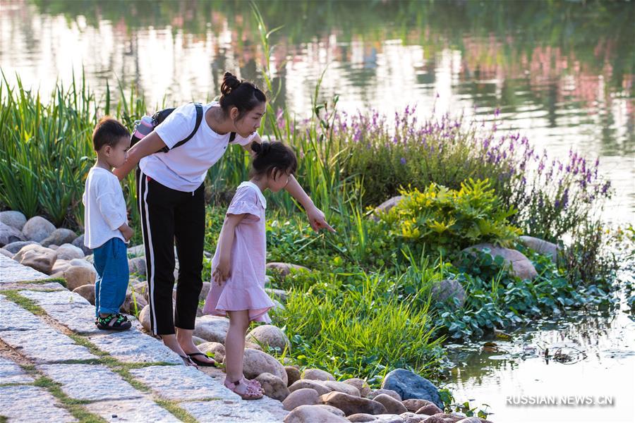 Реализация стратегии "Экология плюс" в Чжанчжоу