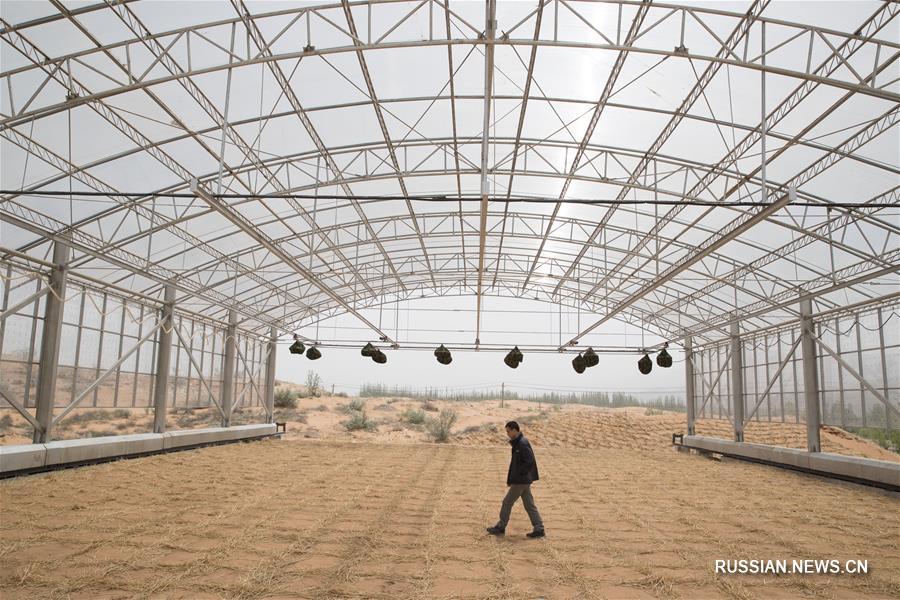 В Шапотоу закончилась установка лизиметрической системы моделирования водного баланса в пустынных районах