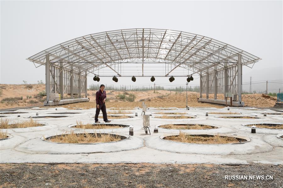В Шапотоу закончилась установка лизиметрической системы моделирования водного баланса в пустынных районах