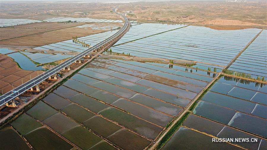Заливные рисовые поля на берегах Хуанхэ