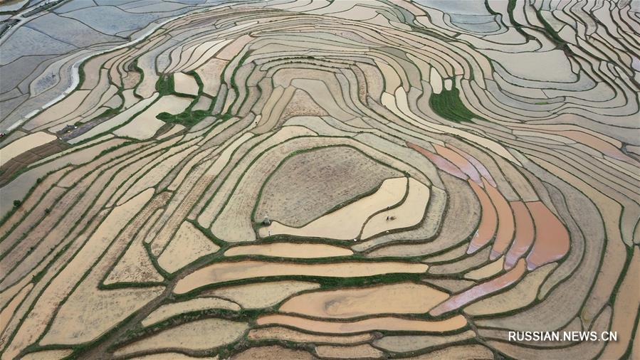 Бапинские террасные поля после дождя