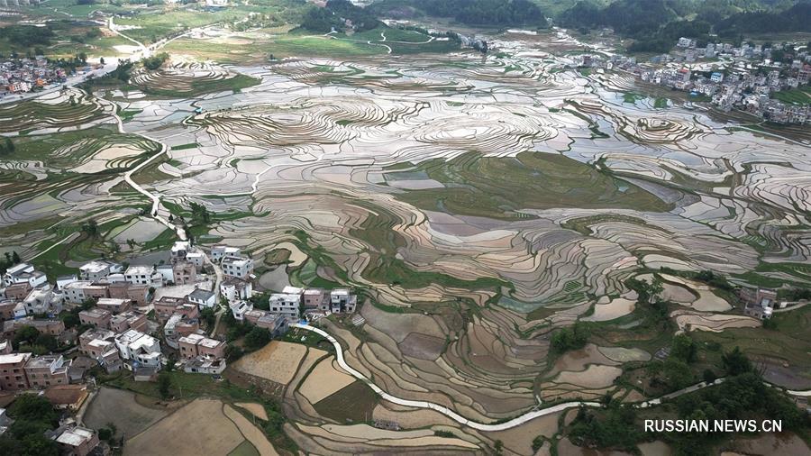 Бапинские террасные поля после дождя