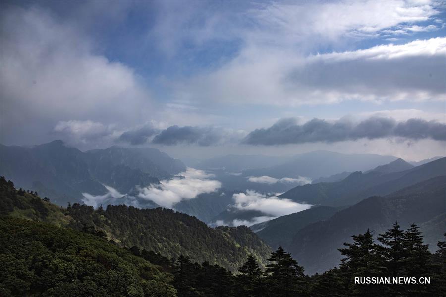 Национальный парк Шэньнунцзя в провинции Хубэй