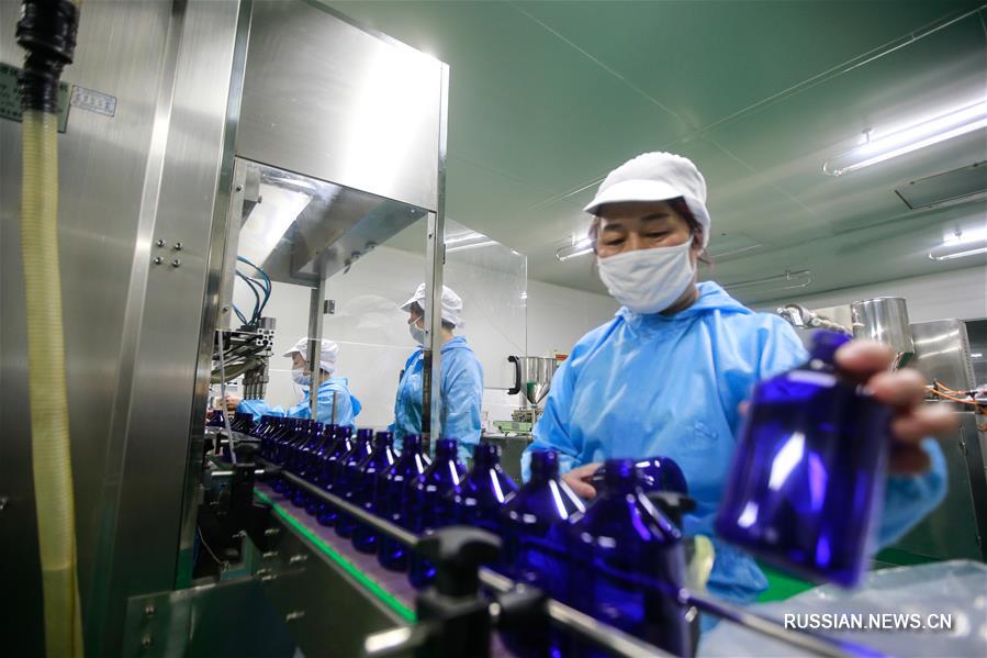 Розы открыли путь к процветанию в провинции Шаньдун