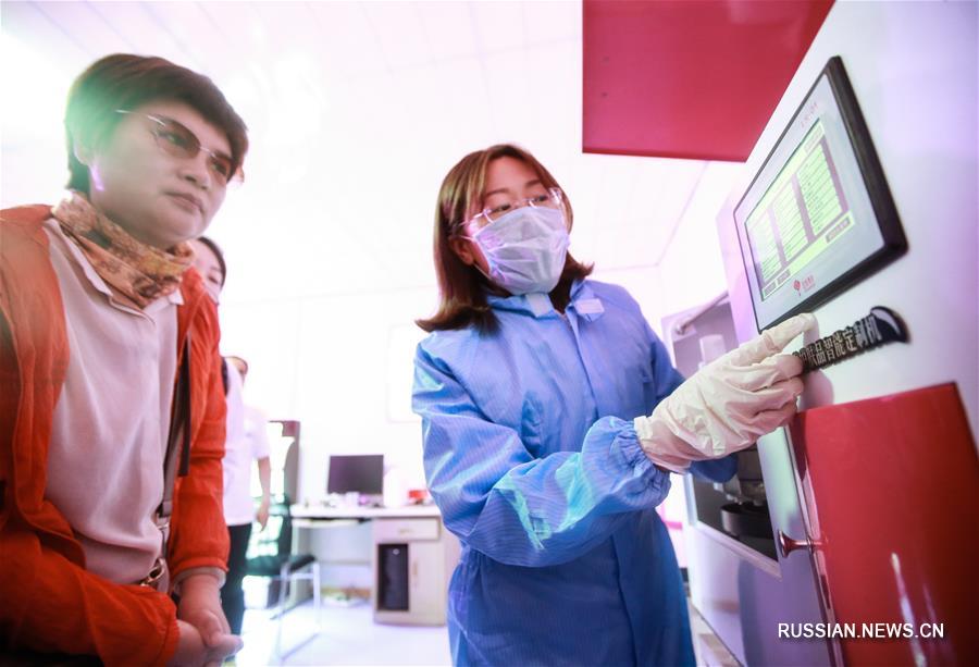 Розы открыли путь к процветанию в провинции Шаньдун