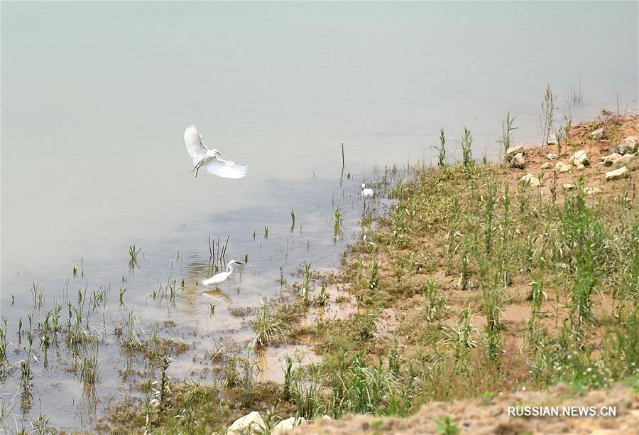 Река Юнцзян в Наньнине обретает новый облик