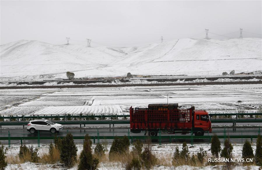 Снегопад прошел в сезон "сяомань" в горах Циляньшань 