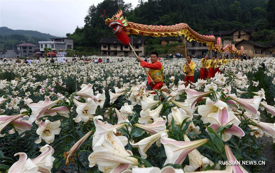 Создание специализированных сельхозкооперативов обеспечило работой бедных крестьян провинции Цзянси