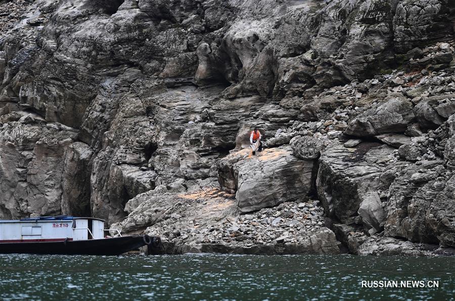 Макаки в ландшафтном парке "Сяосанься" в Чунцине