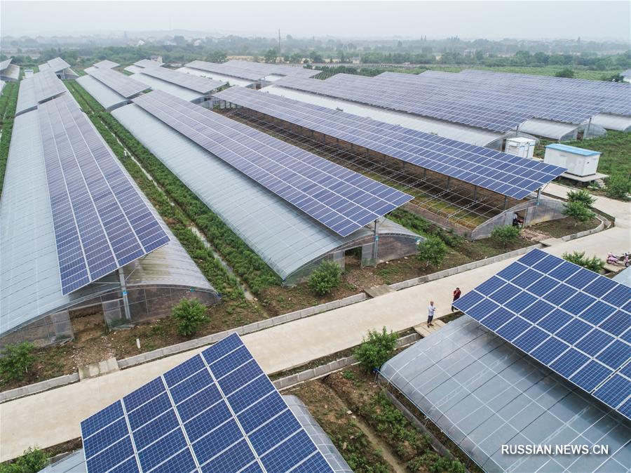 Теплицы с солнечными батареями помогают бороться с бедностью в поселке Хунсинцяо