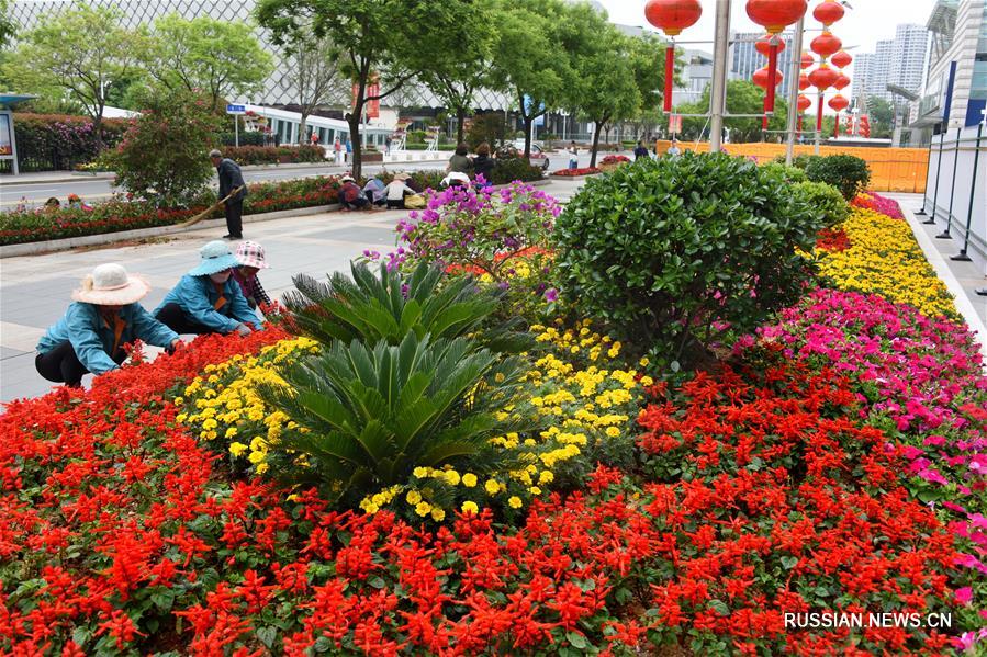 Циндао украшают цветами перед саммитом ШОС