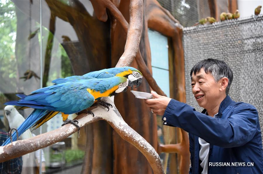 В Чунцинском зоопарке открылся вольер попугаев