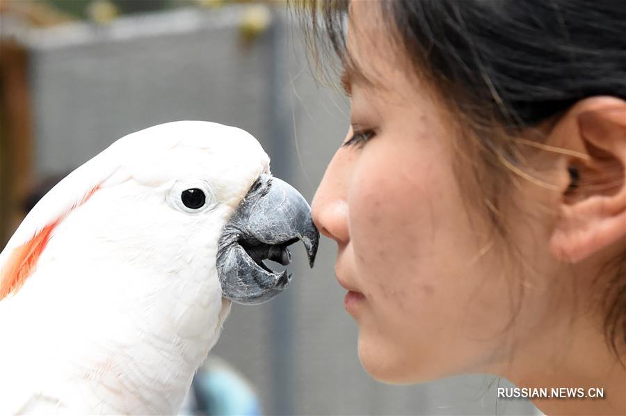 В Чунцинском зоопарке открылся вольер попугаев