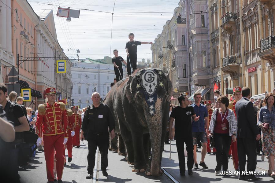 Слоны получили спецприз циркового фестиваля "На Фонтанке" в Санкт-Петербурге