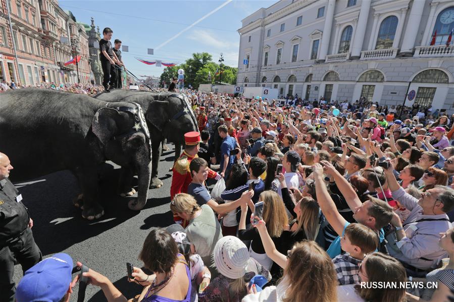 Слоны получили спецприз циркового фестиваля "На Фонтанке" в Санкт-Петербурге