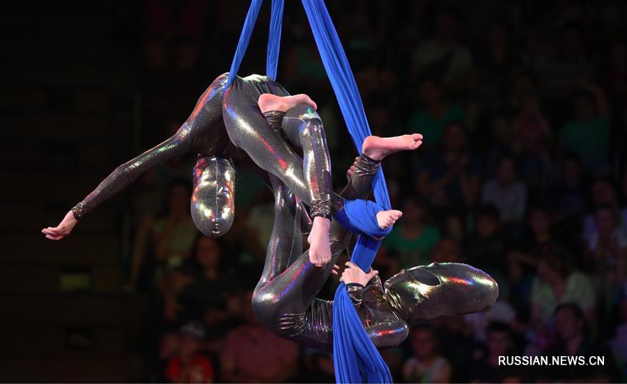 В Украине открылся 3-й Киевский международный юношеский фестиваль циркового искусства "Золотой каштан"