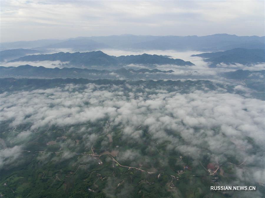Облачное море в ландшафтном парке "Шунань чжухай" 