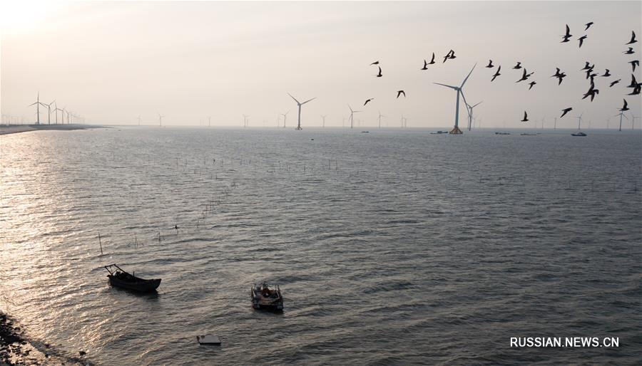 Развитие морской ветроэнергетики в уезде Жудун