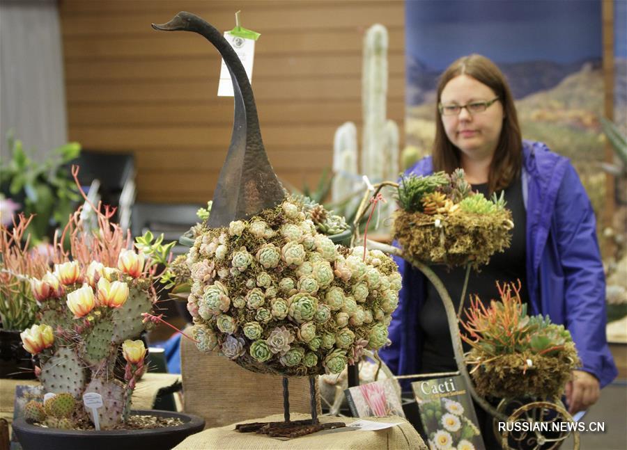 В канадском Ванкувере проходит выставка пустынной флоры 