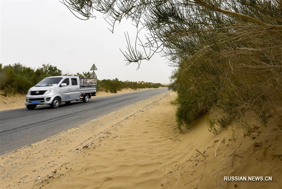 Две автомобильные дороги через пустыню Такла-Макан