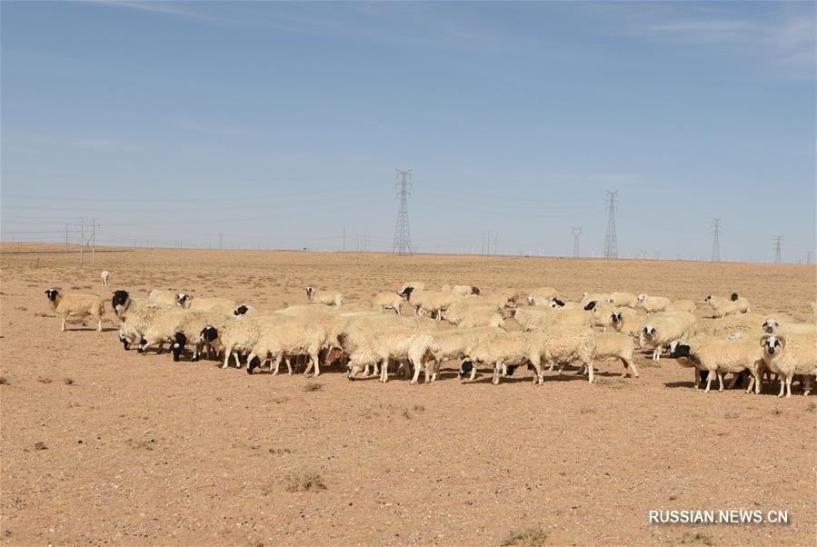 Степи вокруг города Баян-Нур Внутренней Монголии страдают от серьезной засухи