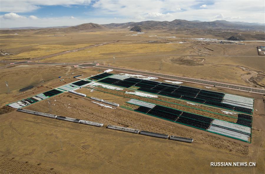 В Тибете большие усилия прилагаются в области охраны окружающей среды