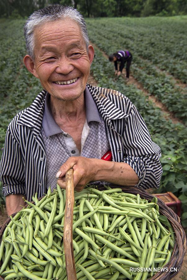 Сбалансированное экономическое развитие -- путь избавления от бедности уезда Лонань