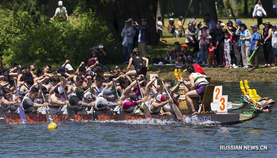 Соревнования по гребле на драконовых лодках в Торонто