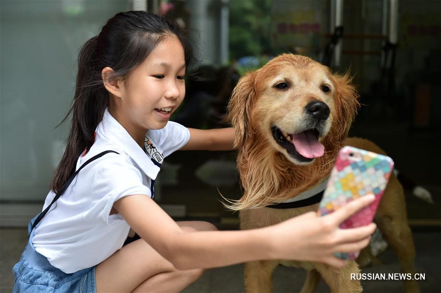 Таможенные собаки продемонстрировали юным жителям Гуанчжоу умения находить наркотики