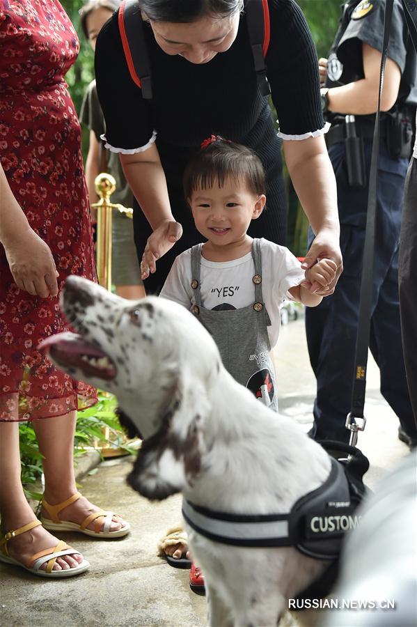 Таможенные собаки продемонстрировали юным жителям Гуанчжоу умения находить наркотики