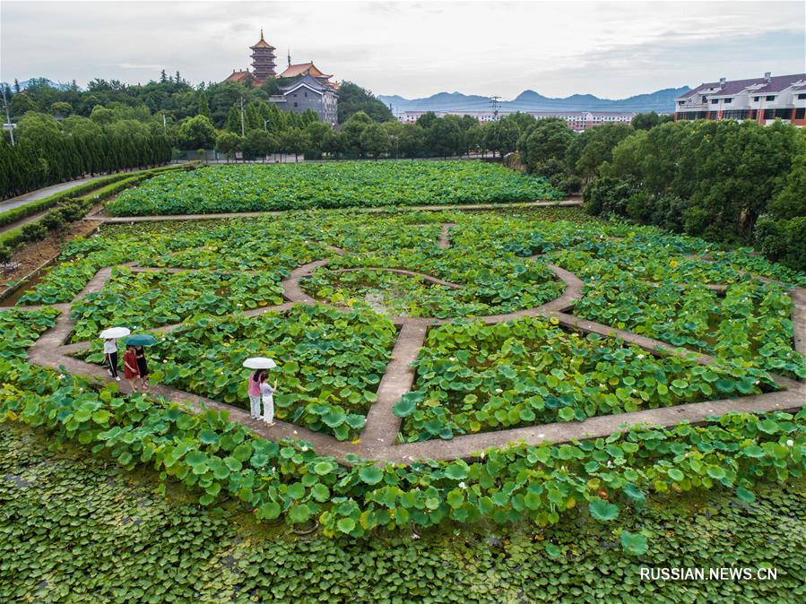 Построение среднезажиточного общества в китайской "деревне красного дерева номер один"