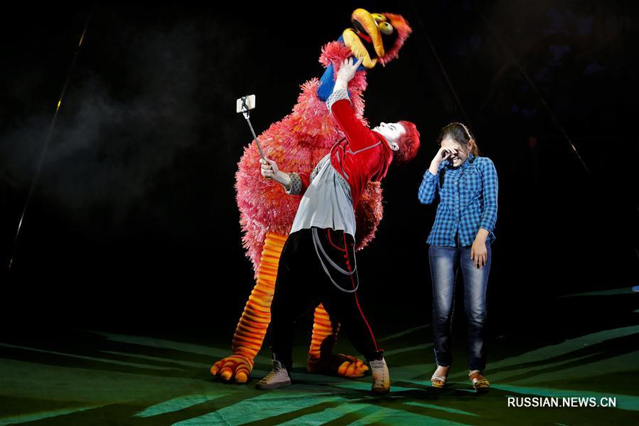 В Астане открылся международный фестиваль циркового исскуства "Эхо Азии"