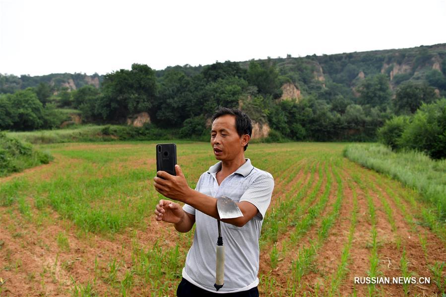 Крестьяне труднодоступных горных районов на севере Китая богатеют благодаря сбыту  товара через соцсети