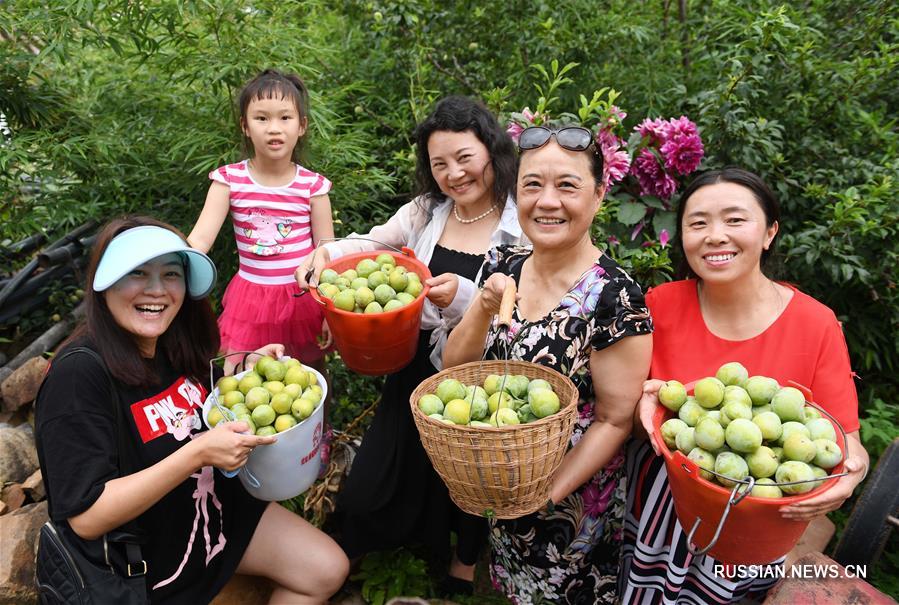 1-й Синьхуаский фестиваль сельского туризма и персиков в уезде Юаньмоу