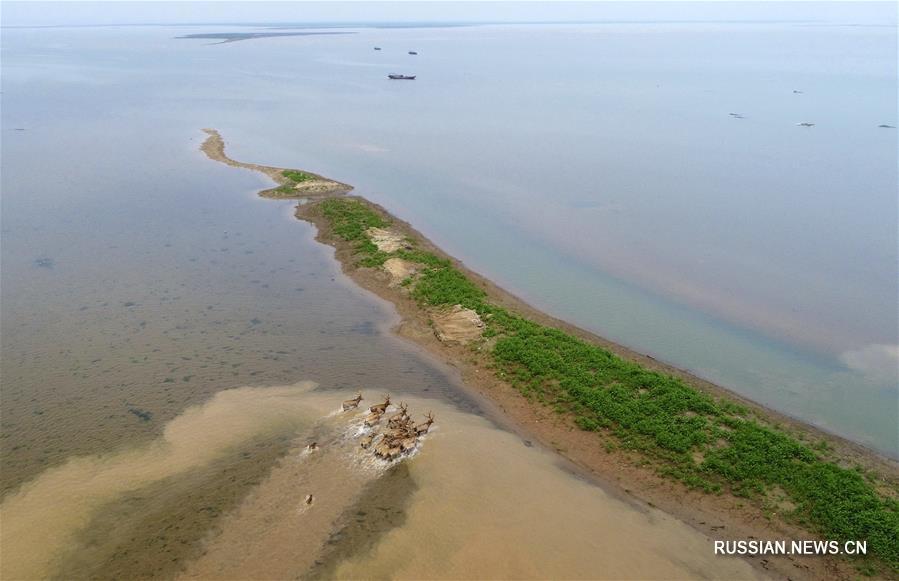 Китай занимает 4-е место в мире по площади водно-болотных угодий