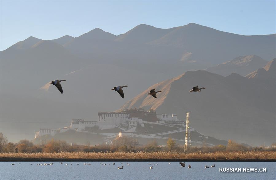 Китай занимает 4-е место в мире по площади водно-болотных угодий