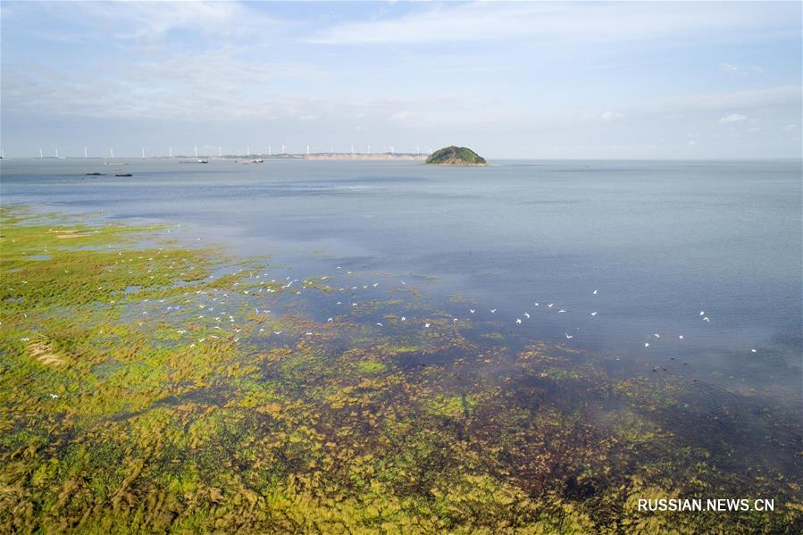 Китай занимает 4-е место в мире по площади водно-болотных угодий