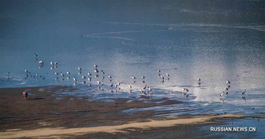 Китай занимает 4-е место в мире по площади водно-болотных угодий