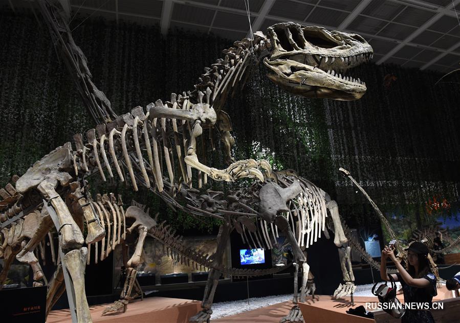 В Нанкинском музее открывается выставка динозавров