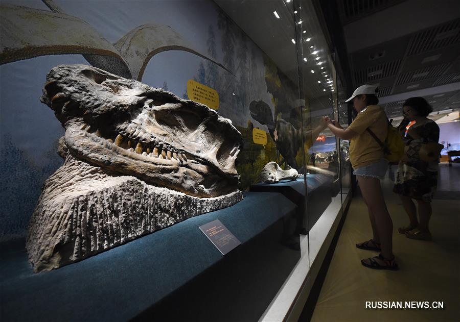 В Нанкинском музее открывается выставка динозавров