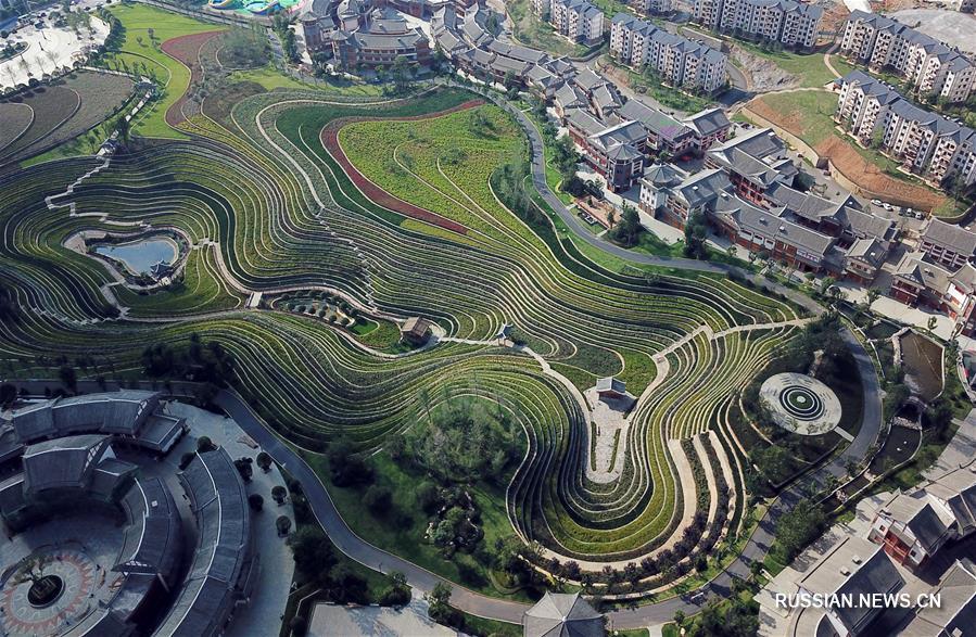 Террасированные поля в провинции Гуйчжоу