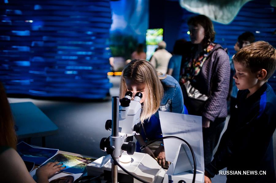 День акул во Владивостоке